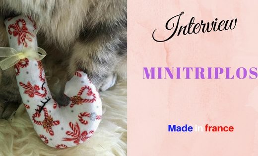 interview créateur made in france : les Minitriplos, des jouets pour chats fait mains tendances et chics à collectionner / secrets d'entrepreneur