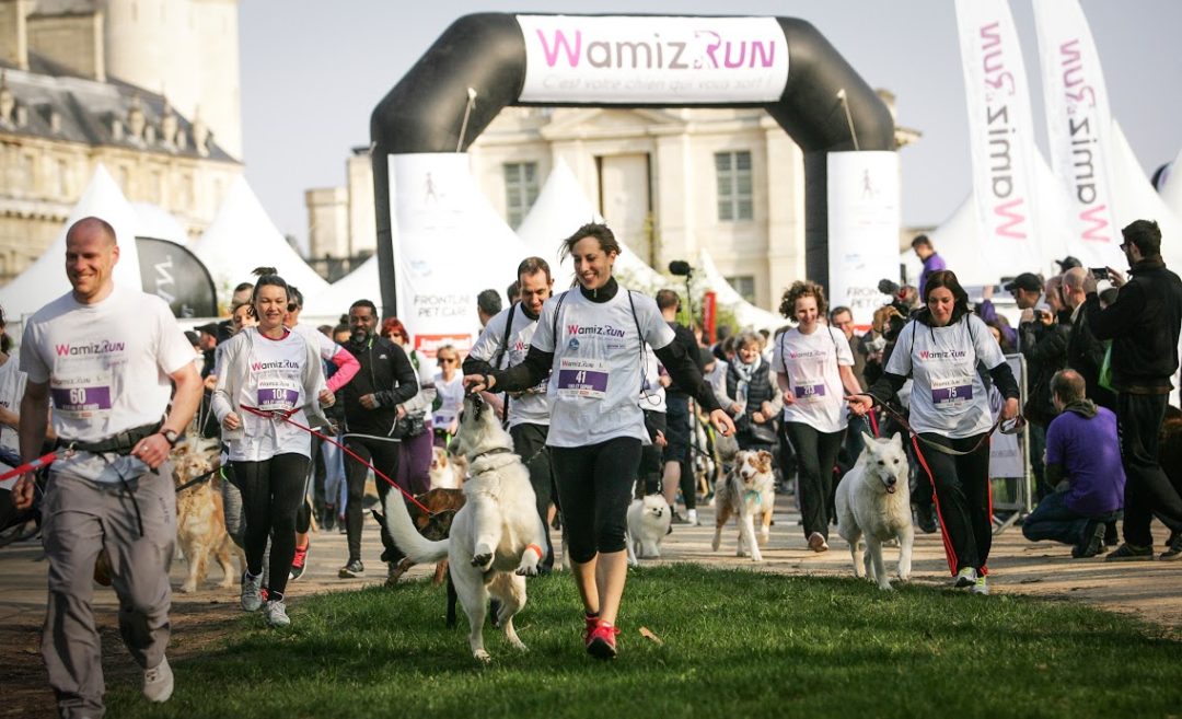 Wamiz Run : l'évènement pet friendly à ne pas manquer. 2 courses au choix : cani cross et cani marche. Découvrez le programme et les différentes activités