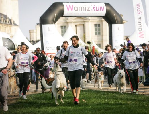 Wamiz Run : l'évènement pet friendly à ne pas manquer. 2 courses au choix : cani cross et cani marche. Découvrez le programme et les différentes activités