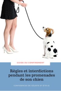 Découvrez les règles et interdictions pour les sorties de son chien que beaucoup de maîtres ignorent. Prenez soin de votre chien grâce à ce guide très complet du confinement. Améliorez le confinement de votre animal.