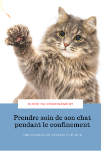 découvrez ce guide complet, rédigé par notre comportemtaliste qui vous accompagne pour améliorer le confinement de votre chien. Gérer son stress. Occupez correctement votre chat. Sélection des meilleurs diy de jouets