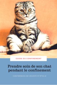 Retrouvez les conseils et astuces de notre comportementaliste pour vivre un bon confinement avec son chat. Améliorer le confinement de votre chat. Gérer son stress. Occupez le correctement. En bonus  : sélection des meilleurs diy de jouets