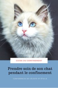 Retrouvez les astuces et conseils de notre comportementaliste pour améliorer le confinement de votre chat, prendre soin de lui et l'occuper correctement. En bonus : les erreurs à éviter que beaucoup font