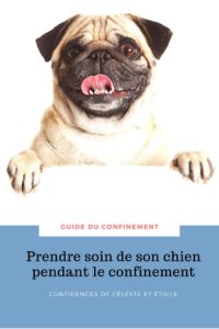 Grâce à ce guide complet retrouvez les meilleurs conseils et astuces pour prendre soin de votre chien pendant le confinement. Notre comportementaliste vous accompagne pour prendre soin de votre chien et améliorer son confinement. Apprenez à gérer son stress et l'occuper