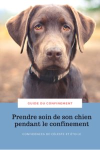 Retrouvez dans ce guide complet, rédigé par notre comportementaliste, ses meilleures astuces et conseils pour améliorer le confinement de votre chien et prendre soin de lui. Vous y trouverez aussi comment gérer son stress et l'occuper