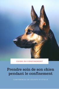 Améliorez le confinement de votre chien grâce à ce guide complet rédigé par notre comportementaliste. Elle vous accompagne pour prendre soin de votre chien à travers des astuces et des conseils