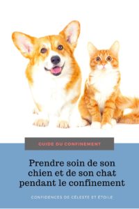 Retrouvez les conseils et astuces d'une comportementaliste canin et félin pour prendre soin de son chien et de son chat pendant le confinement. Apprenez à vivre en confinement avec son animal, à gérer son stress, le stimulez, l'occuper correctement et renforcer son organisme