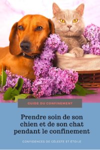 Apprenez à vivre en confinement avec son chien et son chat pendant le confinement grâce à ce guide rédigé par un comportementaliste. Conseils et astuces pour prendre soin de son animal, l'occuper correctement, gérer son stress.