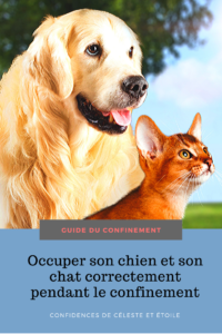 Conseils et astuces de comportementaliste pour prendre soin de son chien et de son chat pendant le confinement : gérer son stress, l'occuper correctement, les erreurs à éviter et la sélection des meilleurs diy pas cher à faire