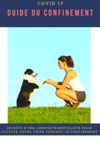 Notre comportementaliste vous livre ses secrets : pour prendre soin de votre chien pendant le confinement, gérer son stress, améliorer son confinement et surtout comment l'occuper correctement. En bonus : les erreurs à éviter