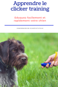Découvrez les avantages et le fonctionnement du clicker training. Cet outil d'apprentissage est accessible à tous. Il peut-être utilisé pour tous les animaux quelque soit son espèce, sa race et son âge. Eduquer son chien facilement c'est possible grâce au clicker
