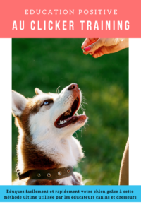 Eduquez facilement votre chien ou votre chiot grâce au clicker training. Découvrez les avantages, le fonctionnement et les consignes pour débuter correctement le clicker training. Notre comportementaliste vous présente simplement cette discipline sans jarguon