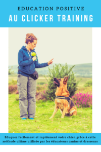 Notre comportementaliste vous livre une astuce pour éduquer facilement son chien. Découvrez les avantages, le fonctionnement et ses consignes pour débuter le clicker training. Cette méthode d'apprentissage est accessible à tous. 