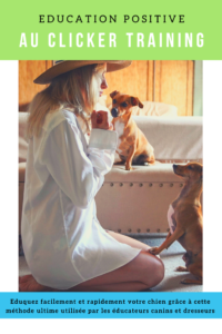 Tout ce que vous avez besoin de savoir sur le clicker training pour éduquer votre chien : avantages, utilisations, fonctionnement et consignes. Notre comportementaliste vous présente simplement sans jarguon cette technique d'apprentissage pratique. 
