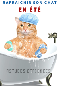 14 astuces fraicheurs dans ce guide de l'été spécial canicule pour rafraichir votre chat cet été. Offrez un été plus frais et protégez-le de la chaleur. Conseils et astuces efficaces à connaitre absolument pour affronter la canicule avec son chat