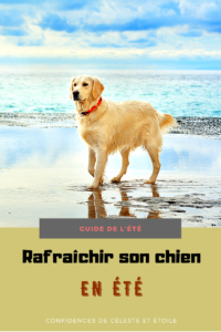 14 astuces fraicheurs à connaitre absolument cet été pour prendre soin de son chien. Offrez un été plus frais à votre chien grâce à ce guide ultime de l été. Affrontez la canicule avec votre chien et protégez le des grosses chaleurs grâces à ces astuces et conseils efficaces