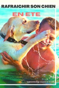 comment rafraichir son chien en été ? comment le protéger de la chaleur ? comment affronter la canicule avec votre chien ? 14 astuces fraicheurs pour lui pour un été plus frais dans ce guide de l été spéciale canicule 