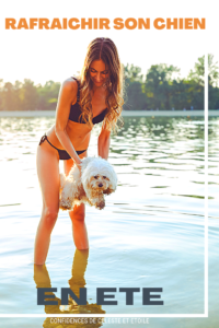 Guide de l été avec des conseils et des astuces efficaces pour rafraichir son chien et le protéger de la chaleur. Affrontez la canicule grâce à ces 14 astuces fraicheurs à connaitre absolument. Découvrez les erreurs à éviter cet été que beaucoup ignorent