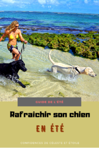 Guide de l été pour rafraichir votre chien, le protéger de la chaleur et l hydrater. Conseils et astuces pratiques pour affronter la canicule avec son chien. Les erreurs que beaucoup de maitres de chiens font en été. En bonus une sélection d accessoires rafraichissants