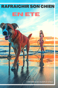 Découvrez dans ce guide de l été, rédigé par notre expert canin, de précieux conseils et surtout ENFIN des astuces efficaces pour rafraichir, protéger de la chaleur, aider son chien pendant la canicule. Offrez un été plus frais à votre animal même sans climatisation. Le guide de l été à lire et partager de toute urgence