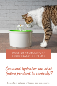 Guide de l'hydratation du chat : Notre experte vous partage ses conseils et ses astuces pour hydrater correctement votre chat même quand il fait chaud. Elle vous livre ses méthodes pour inciter un chat à boire. Elle vous donne sa méthode pour qu'un chat malade boive plus. Elle vous accompagne dans le choix de votre fontaine et son entretien. Eliminez le calcaire de vos fontaines