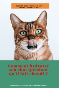 Guide de l'hydratation : Conseils, astuces, méthodes et solutions pour hydrater correctement votre chat même en été. Notre experte vous livre tous ses secrets pour une hydratation optimale. Comment inciter un chat à boire ? Comment faire pour qu un chat malade boive davantage ? Comment faire quand son chat est déshydraté ? Comment reconnaitre un chat déshydraté ? quelle fontaine choisir ? Comment entretenir sa fontaine ? Comment éliminer le calcaire de sa fontaine ? Quelle eau donner ?