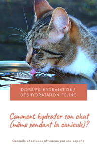Dossier complet sur la déshydratation et l'hydratation féline : notre experte vous partage ses astuces efficaces pour hydrater correctement votre chat. Elle vous livre ses solutions pour inciter un chat à boire. Elle vous guide pour trouver la bonne fontaine.