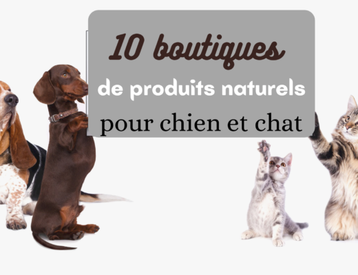 découvrez ma sélection de 10 boutiques de produits naturels pour chien et chat