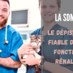 La SDMA : le dépistage fiable des maladies rénales du chat et chien