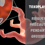 Toxoplasmose : risques et précautions pendant la grossesse
